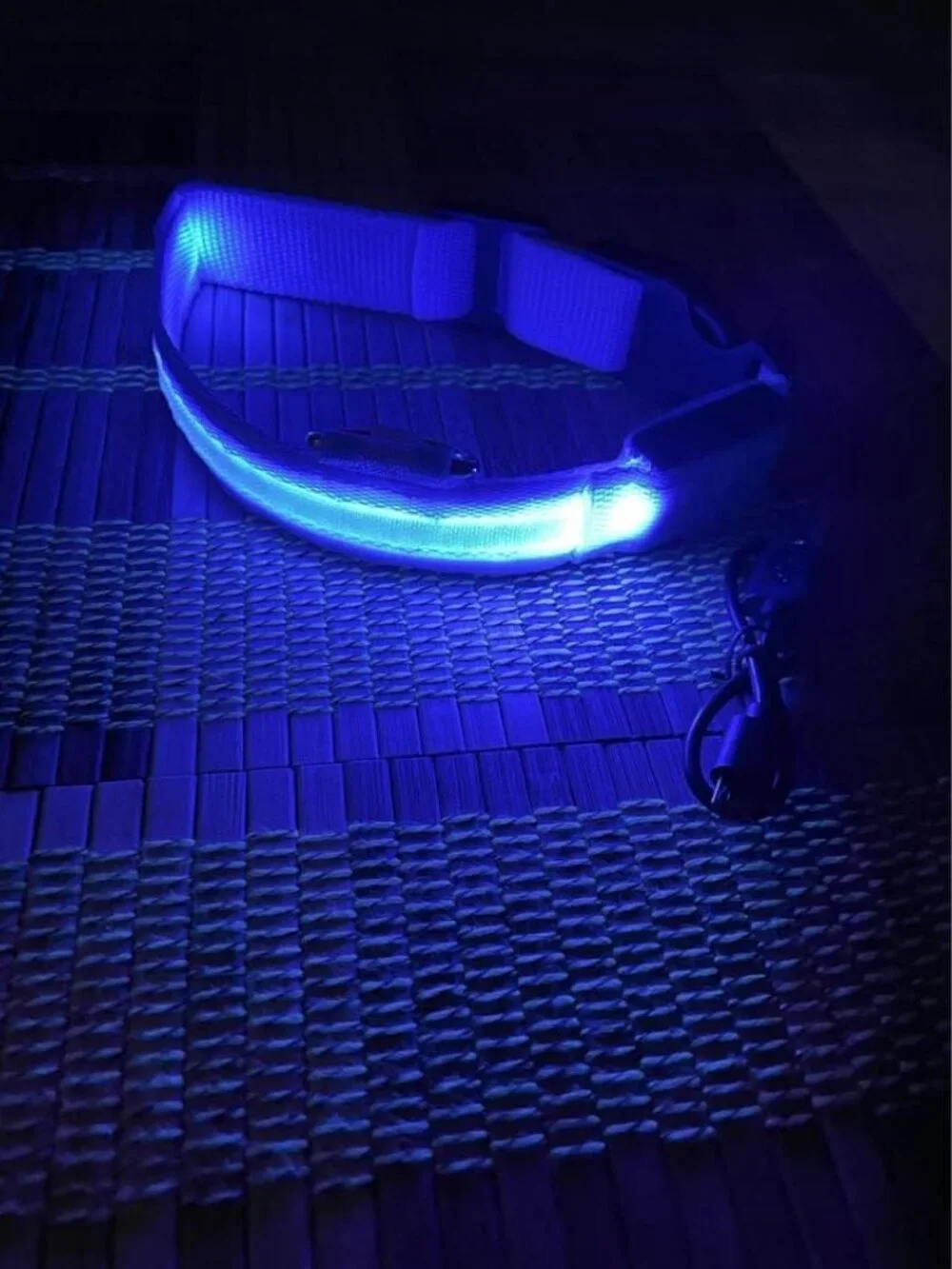 New- USB Rechargeable LED Dog Collar for Night Safety & Visibility, Size S, Blue